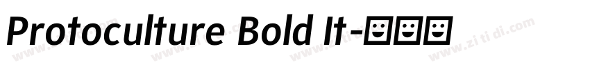Protoculture Bold It字体转换